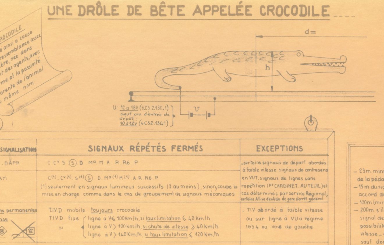 1. crocodile-PT