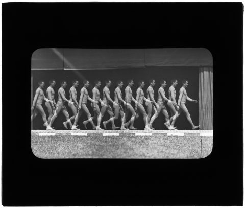 Figure 5. Marche de l'homme. Chronophotographie sur plaque fixe / Etienne-Jules Marey. Meudon, station physiologique, s.d. 3PV705
